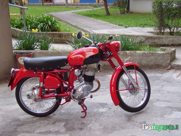Benelli Leoncino 125 by Cighi